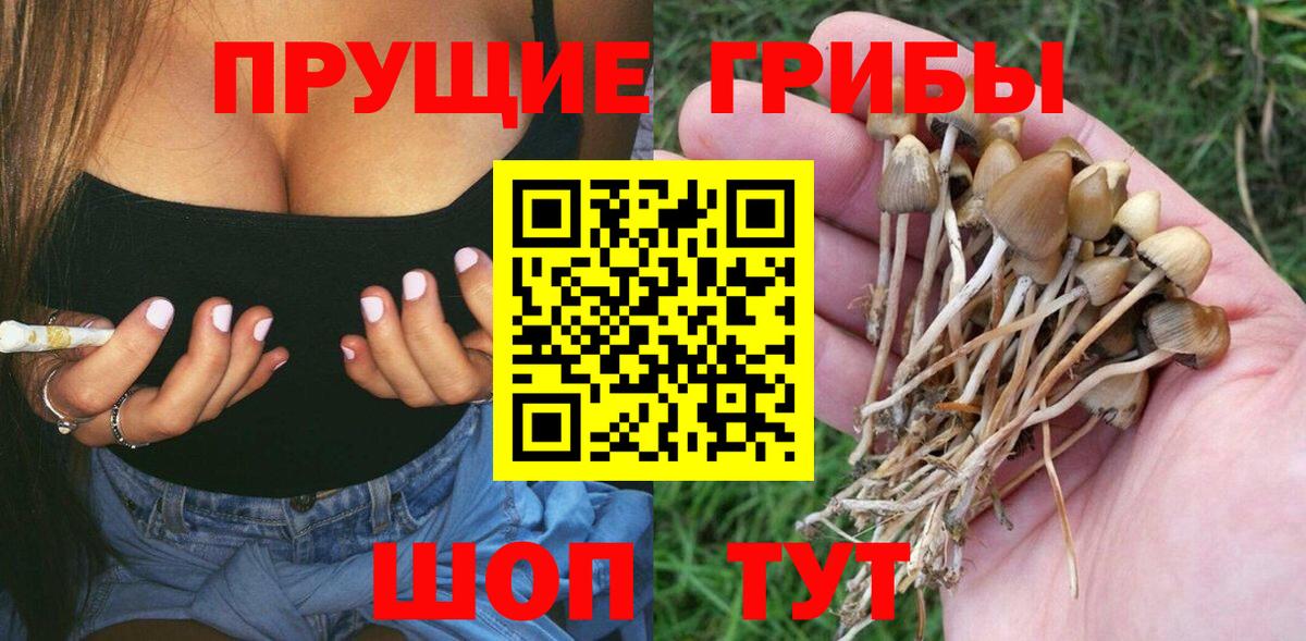 Галлюциногенные грибы Psilocybe Нижнеудинск