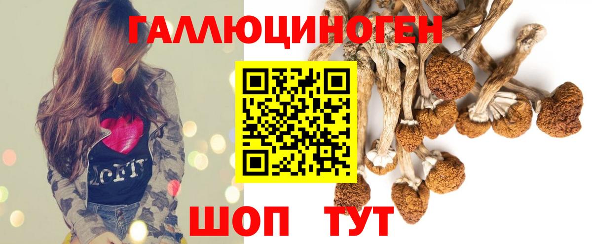 Нижнеудинск  Галлюциногенные грибы Cubensis  Вход с VPN 